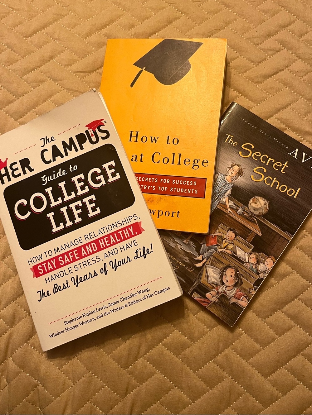 book bundle - college books and the secret school